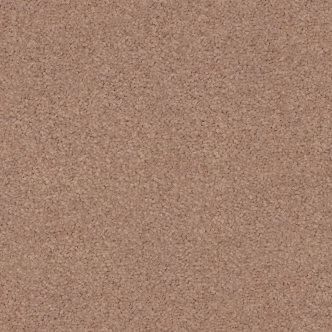 Dusky Pink carpet swatch